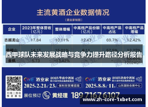 西甲球队未来发展战略与竞争力提升路径分析报告 西甲球队未来发展战略与竞争力提升路径分析报告