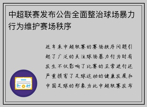 中超联赛发布公告全面整治球场暴力行为维护赛场秩序